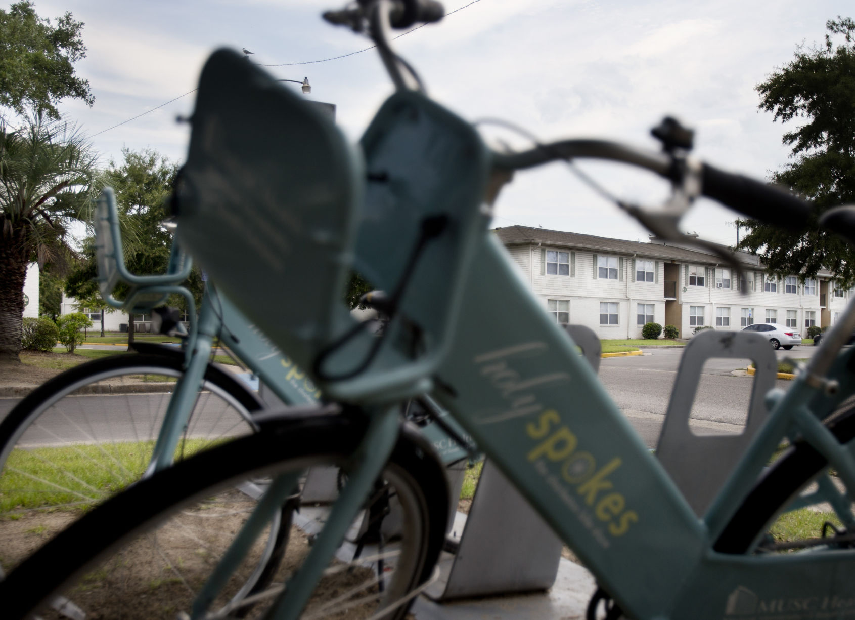 holyspokesbike.jpg